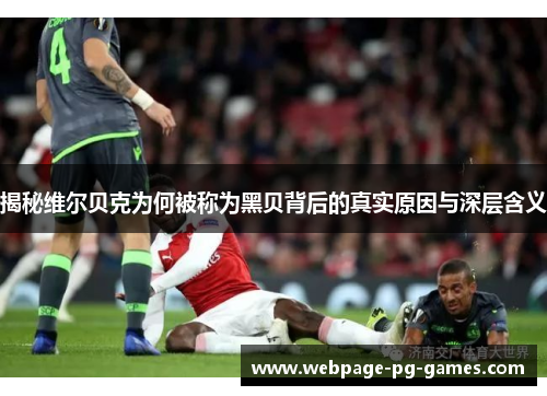 揭秘维尔贝克为何被称为黑贝背后的真实原因与深层含义 揭秘维尔贝克为何被称为黑贝背后的真实原因与深层含义
